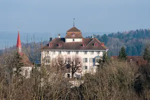 Château, Alte Landstrasse, Hilfikon